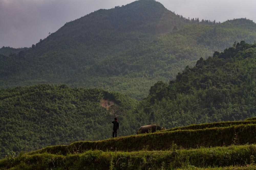 Trekking Sapa