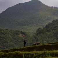 Trekking Sapa