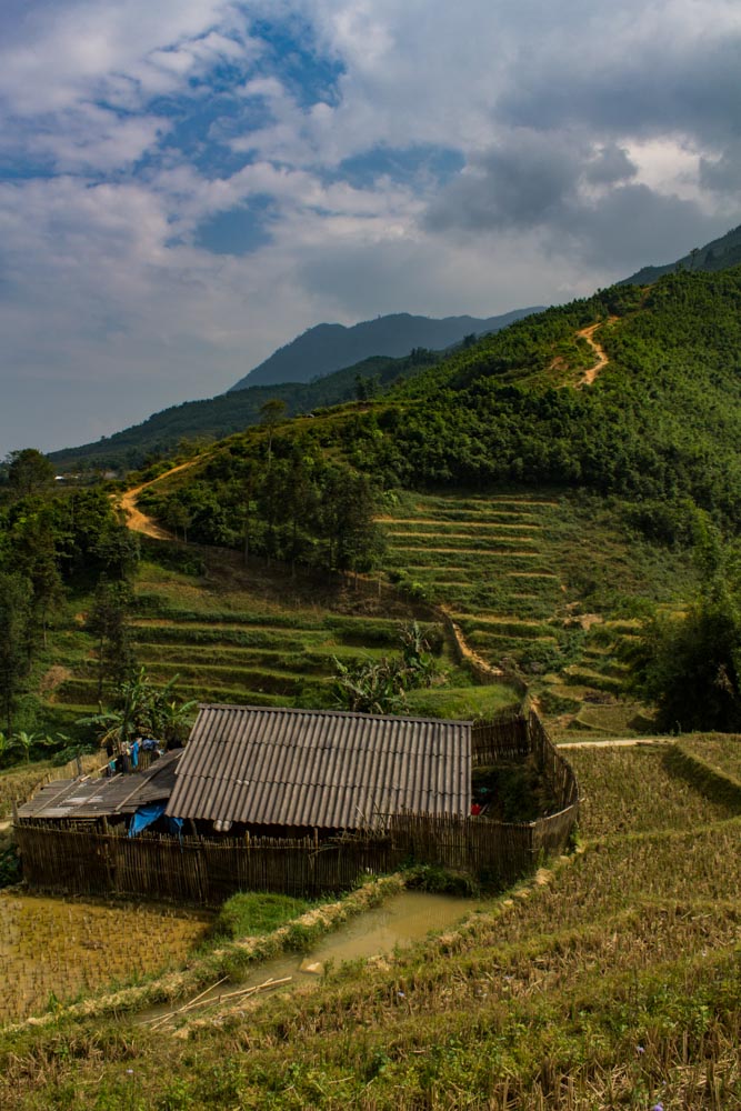 Trekking Sapa