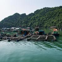 Floating village Lan Ha Bay