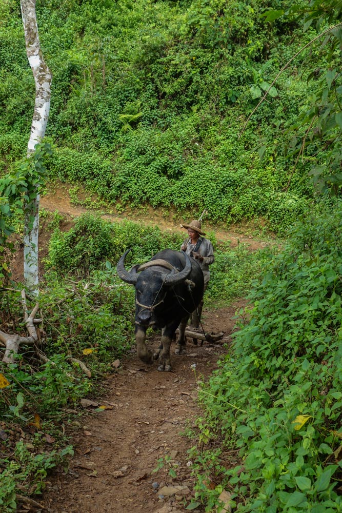 Day 2 trek - local farmer