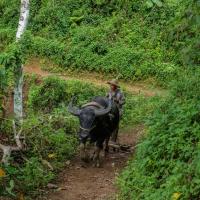 Day 2 trek - local farmer