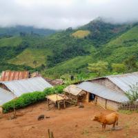 Day 3 trek - Akha village