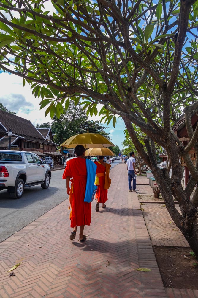 Monks in Luang Prabang