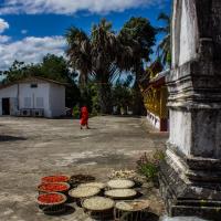 Drying rice and chilis