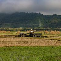 Hsipaw countryside