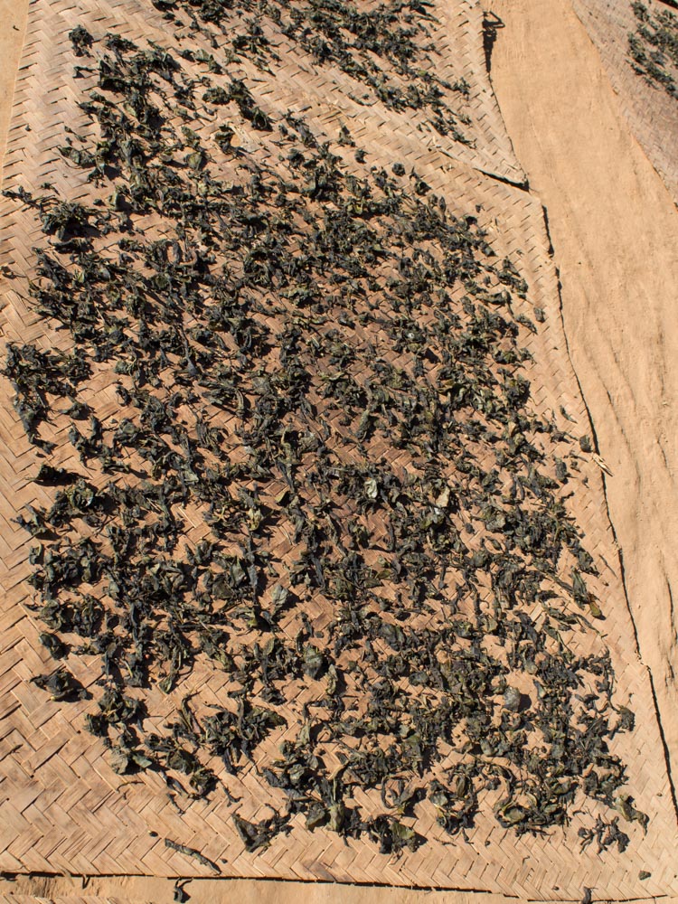 Dry tea leaves