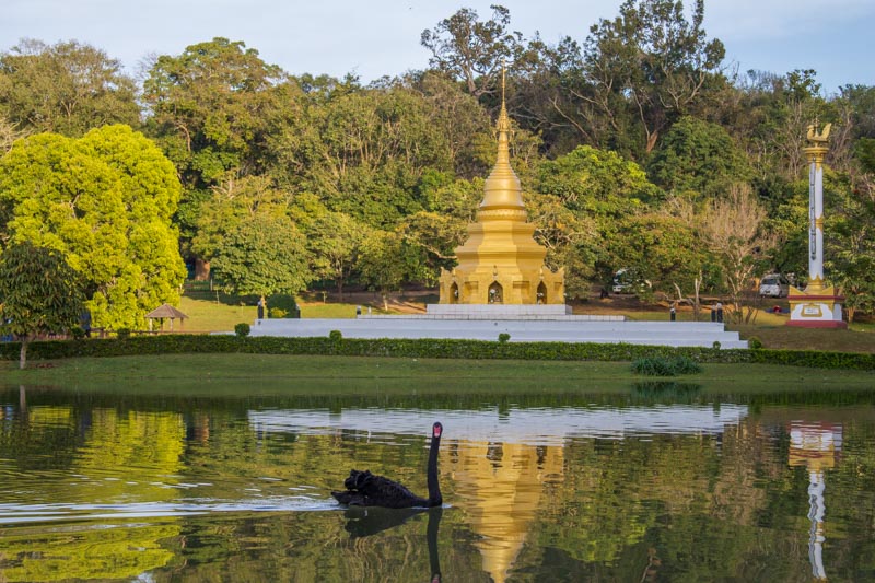 Botanical garden