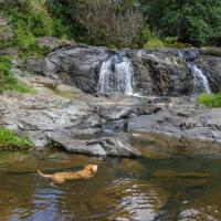 34-Cascade de Farino