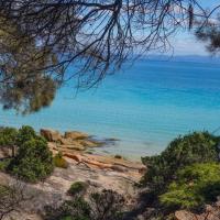 38 - Freycinet Cooks Beach