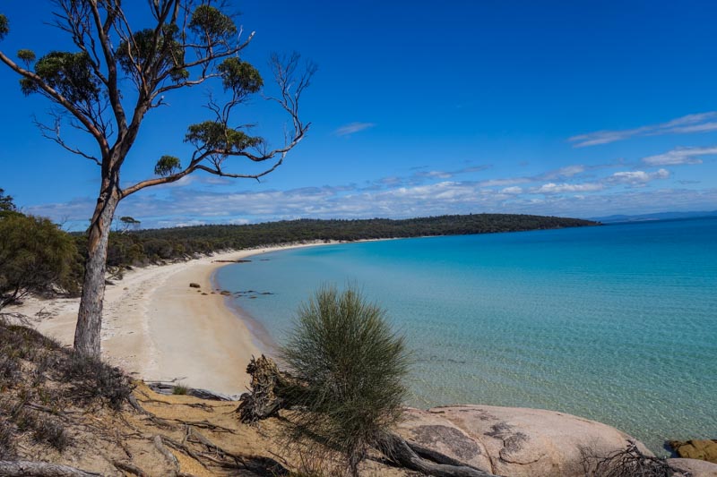 39 - Freycinet Cooks Beach