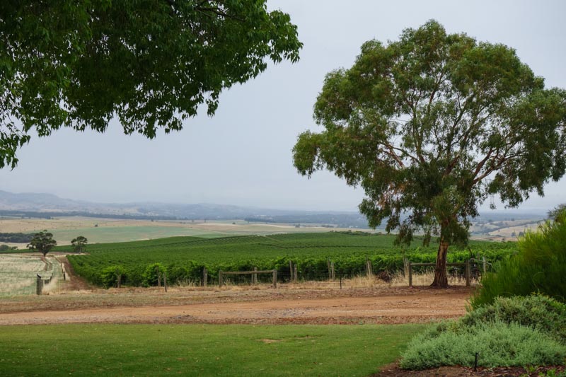 42_Barossa region