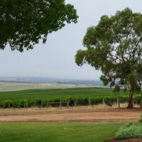 42_Barossa region