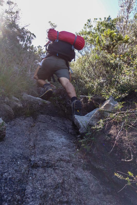 46 - Steep climb up Mt. Graham