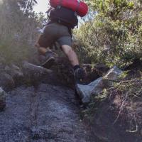 46 - Steep climb up Mt. Graham