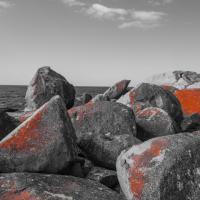 61 - Bay of Fires