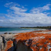 62 - Bay of Fires