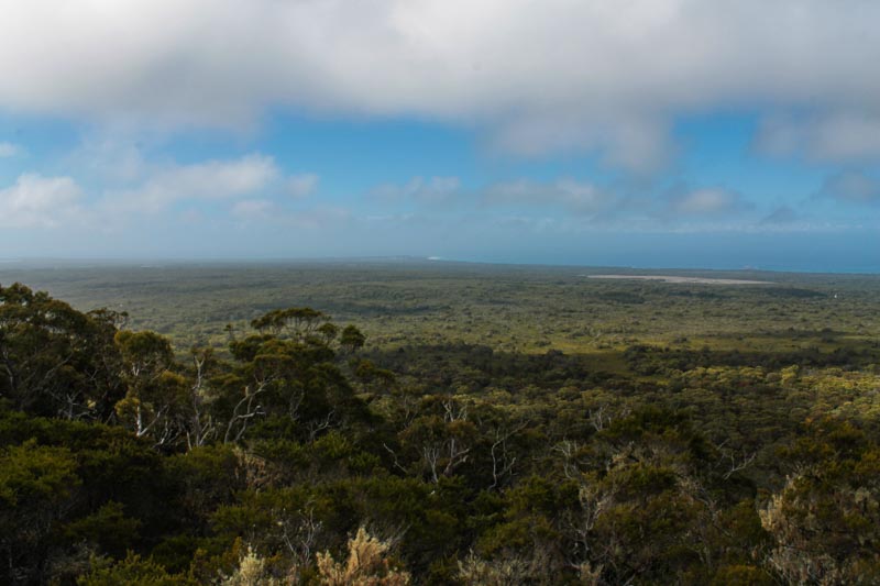 65 - View from Mt. William