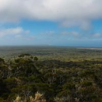 65 - View from Mt. William