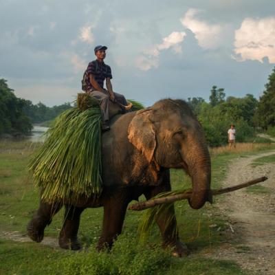 Bardia National Park