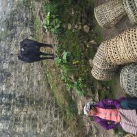 Day 3-1 Namche market 5