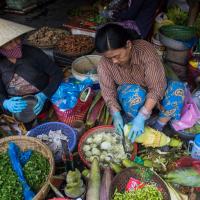 Day 3 - Hoi An market - banana flower