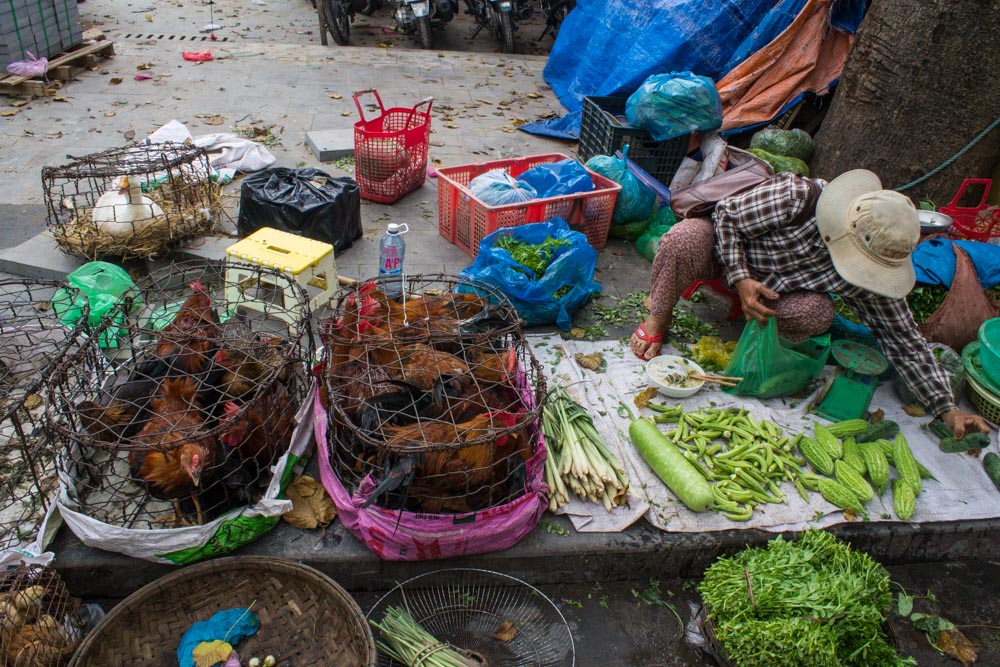 Day 3 - Hoi An market - chicken