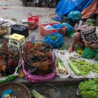 Day 3 - Hoi An market - chicken