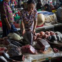 Day 3 - Hoi An market - fish stall 1