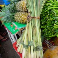 Day 3 - Hoi An market - lemongrass