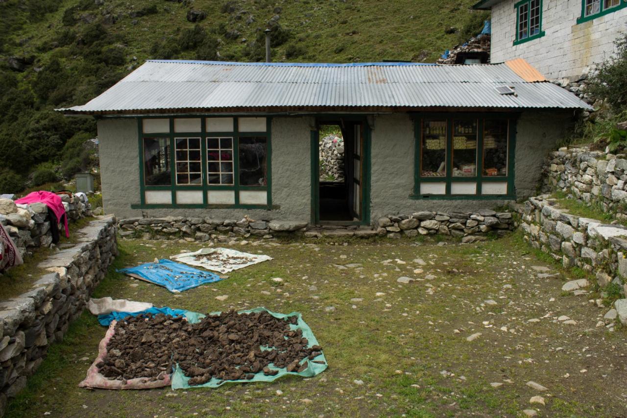 Day 5-3 Dried Yak shit for fire