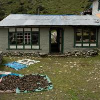 Day 5-3 Dried Yak shit for fire