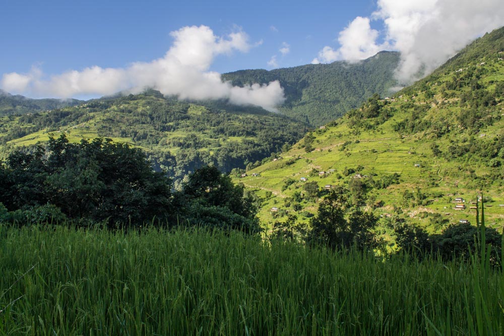 Day 5 _ Landscape 1 rice field-46