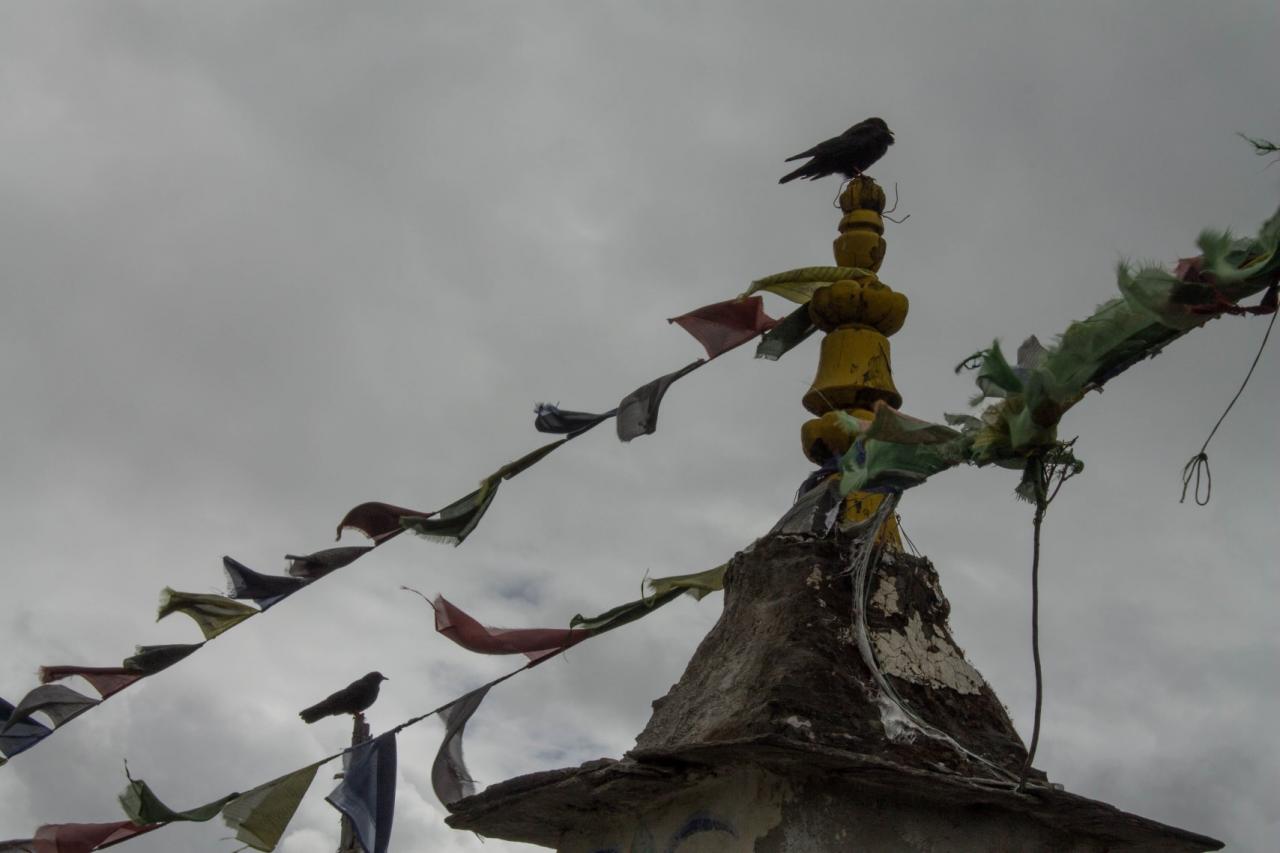 Day 6-2 Stupa and crow