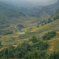 Trekking Sapa