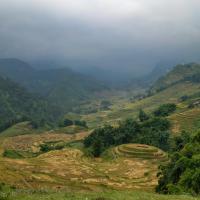 Trekking Sapa