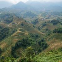 Trekking Sapa