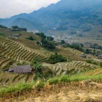 Trekking Sapa