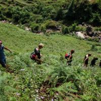 Trekking Sapa