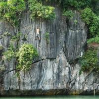 Climbing Lan Ha Bay