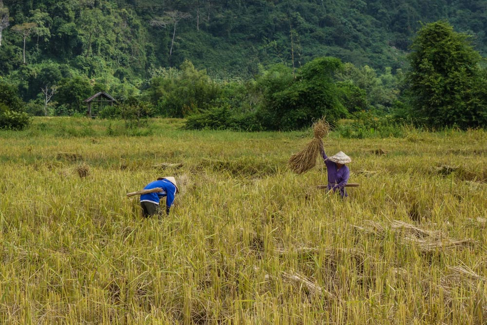 Countryside around Vang Vieng