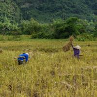 Countryside around Vang Vieng