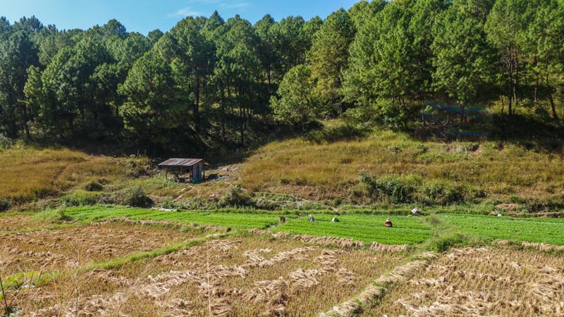 Kalaw countryside