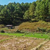 Kalaw countryside