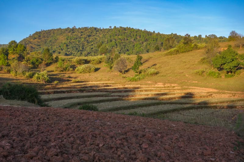 Kalaw countryside