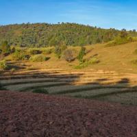 Kalaw countryside