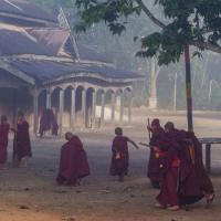 Local monks