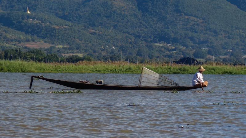 Local fisherman