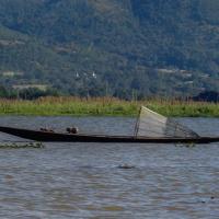 Local fisherman