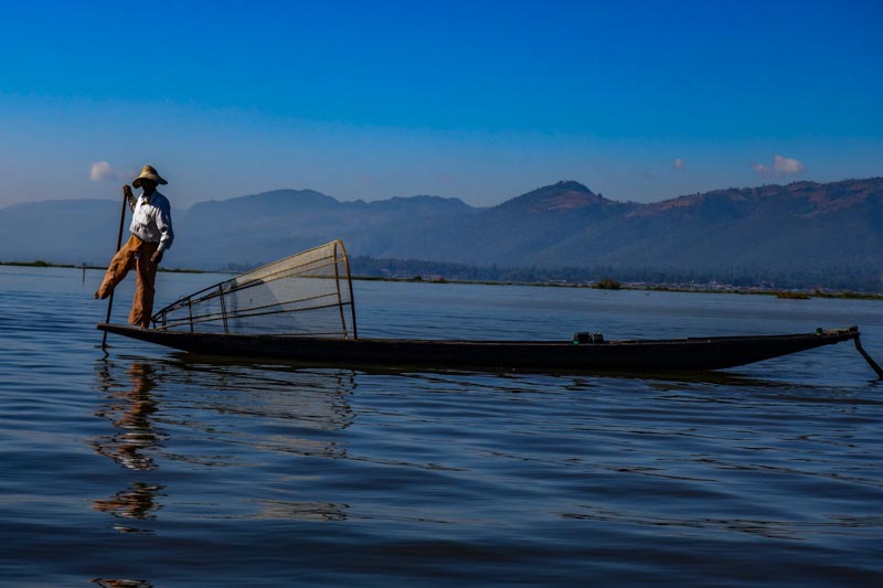 Local Fisherman